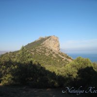 Природа Крыма :: Amazing Cosmea Природа Крыма :: Amazing Cosmea