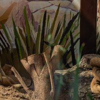 Посидим.... :: Ирина Соловьёва