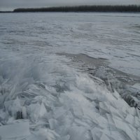 Ледостав на ленской протоке :: Anna Ivanova Ледостав на ленской протоке :: Anna Ivanova
