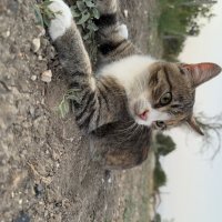 Маруся :: Валентина .