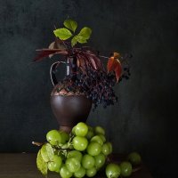 Фрукты :: Галина Левина