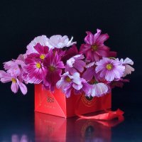 Космея :: Валентина Богатко 