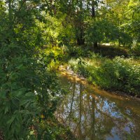У Тихой Воды :: юрий поляков