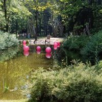 летом в Переделкино :: Галина R...