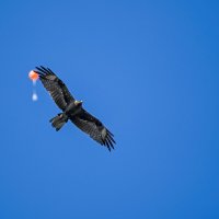 Пролетая над городом... :: Михаил Петрик