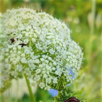 *** :: AZ east3 *** :: AZ east3