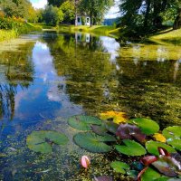 Пруд :: Галина Бобкина Пруд :: Галина Бобкина