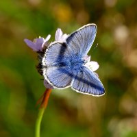 из снятого вчера 4 :: Александр Прокудин из снятого вчера 4 :: Александр Прокудин