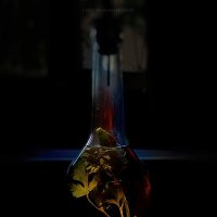 My magic Petersburg_04272 :: Станислав Лебединский My magic Petersburg_04272 :: Станислав Лебединский