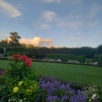 Цветник :: Сапсан 