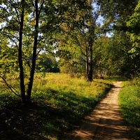 Последние тёплые денёчки лета :: Андрей Лукьянов