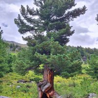 Алтай :: Андрей Л. В.