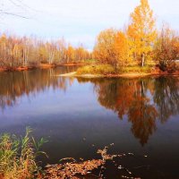 Сентябрь...Золотая осень на лесном озере! :: Владимир 