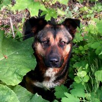 Где я? :: Сергей Уткин