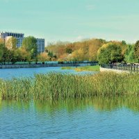 ОСЕННИЙ ДЕНЬ В ПАРКЕ РАДУГА :: Валентина 