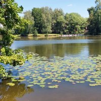 Большой пруд в усадьбе Остафьево. :: ИРЭН@ .