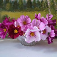 Космеи букетик :: Валентина Богатко 