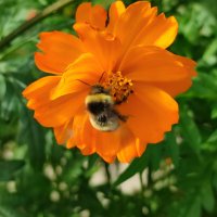 Последние дни лета :: Валентина Богатко Последние дни лета :: Валентина Богатко