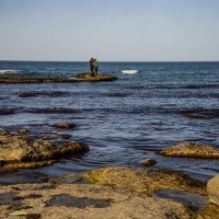 Берег Каспия :: Анатолий Чикчирный