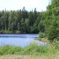 Валаам.Красоты Карелии. :: Любовь ***