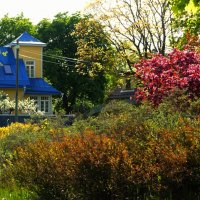 Прощаясь с летом, вспомнить начало.. :: Aida10 