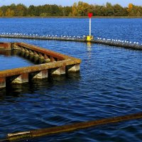 Посиделки :: Юрий. Шмаков