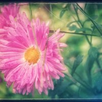 Красота уходящего лета.... :: Руслан 