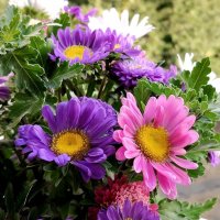 Букет к началу сентября ... :: tatyana 