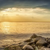 Про Питер :: Владимир Колесников