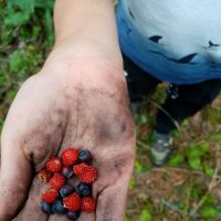 *** :: Елизавета 