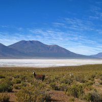 Кусочек горной Боливии. :: unix (Илья Утропов)