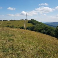 ЛАГО-НАКИ :: Tata Wolf