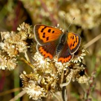 из снятого позавчера 5 :: Александр Прокудин из снятого позавчера 5 :: Александр Прокудин