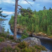 *** :: Сергей  Могутов 