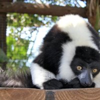 Сейчас я досчитаю до десяти и вы уснете. :: Андрей Андреев Андреев