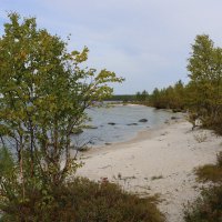 Осенний пляж :: Ольга 