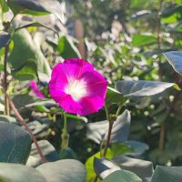 ,,, :: Сергей Тимоновский