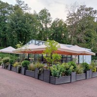 Парковая кафешка. :: Лия ☼