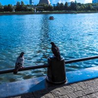 ***** :: юрий поляков ***** :: юрий поляков