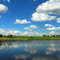 Лето. :: Владимир 