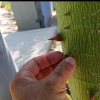 113 (40) :: CLOSE WAYS ALL