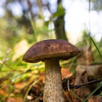 - :: Андрей Молодов