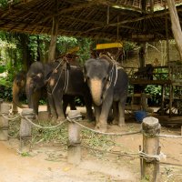 Пхукет :: Андрей 