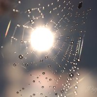 *** :: Елена Kазак (selena1965) *** :: Елена Kазак (selena1965)