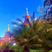 Маленькие тропики в самом сердце Москвы :: Iren Brilliance