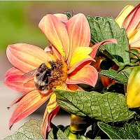 Летний вечер :: Aquarius - Сергей Летний вечер :: Aquarius - Сергей