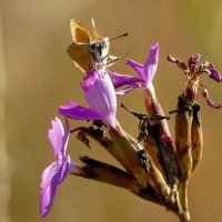 из снятого позапозавчера 4 :: Александр Прокудин