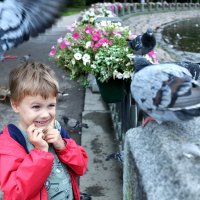 ... :: ВЛАДИМИР 