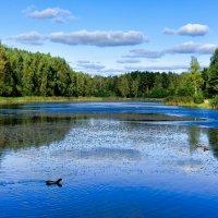 О красоте Смоленской природы. :: Милешкин Владимир Алексеевич 