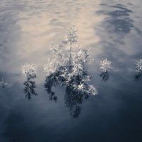 Назва. отсу. :: Денис Безногов Назва. отсу. :: Денис Безногов